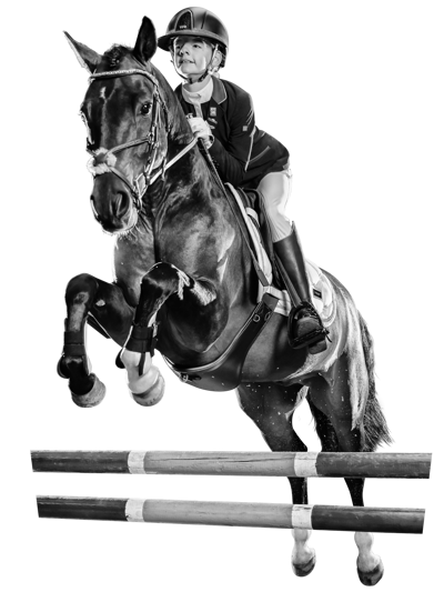 Hippische sport