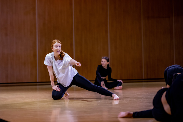 Dansen Veld1 (1)