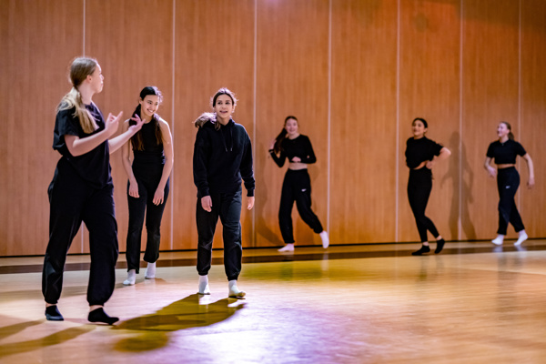 Dansen Veld2